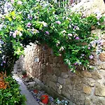 Athena Feriehus Camporosso (Liguria)