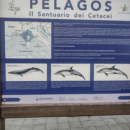 Casa vacanze Athena Camporosso (Liguria)