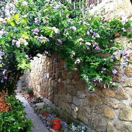 Athena Casa vacanze Camporosso (Liguria)