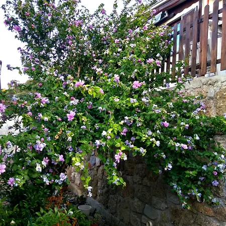 Casa vacanze Athena