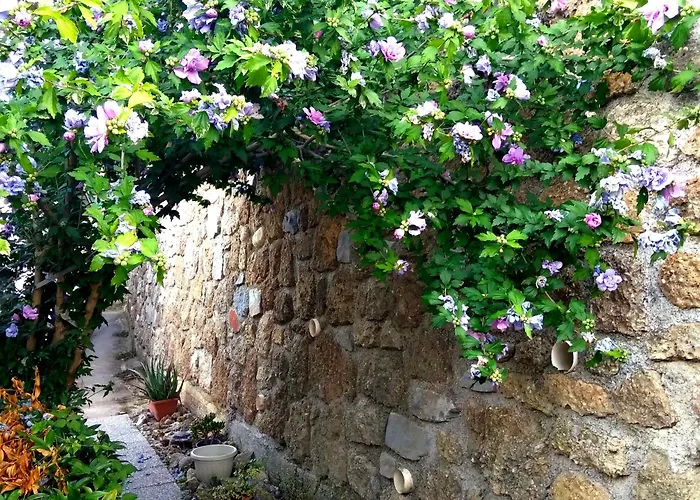 Athena Tatil Evi Camporosso (Liguria)